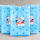 Extra 1000ml Ice Brick (1 piece)